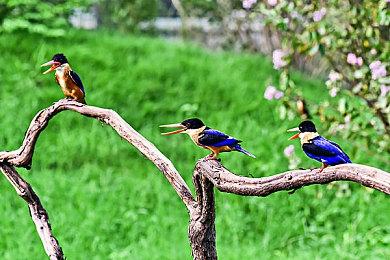 《龙腾世纪：影障守护者》获《时代》周刊年度游戏